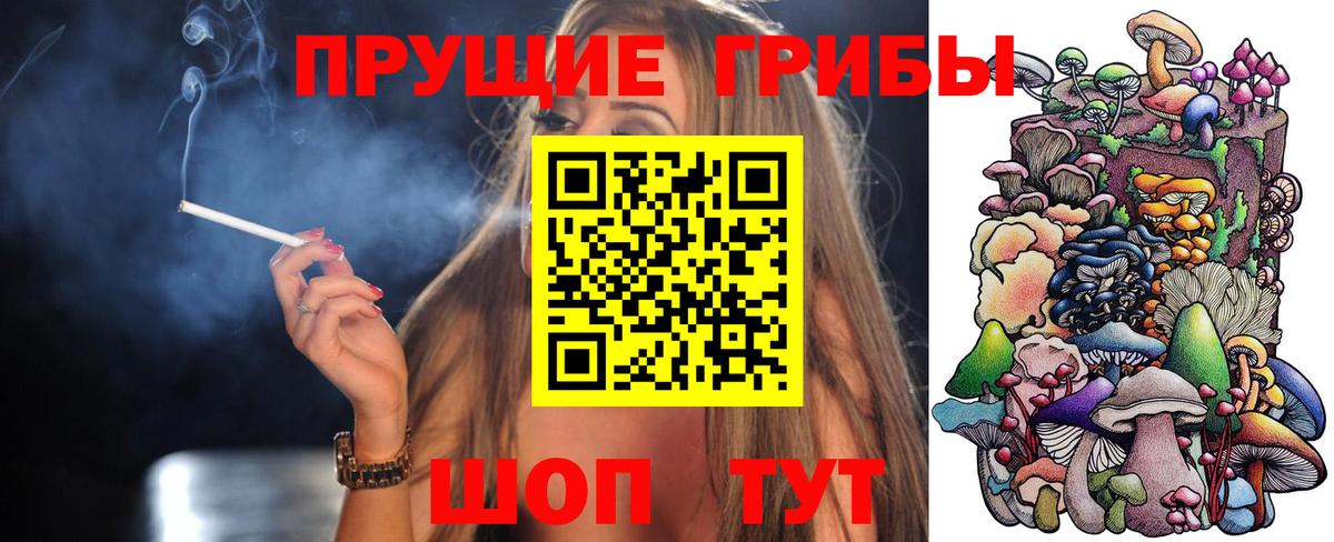 Петровск  где можно купить наркотик  Вход с VPN  Псилоцибиновые грибы Magic Shrooms 
