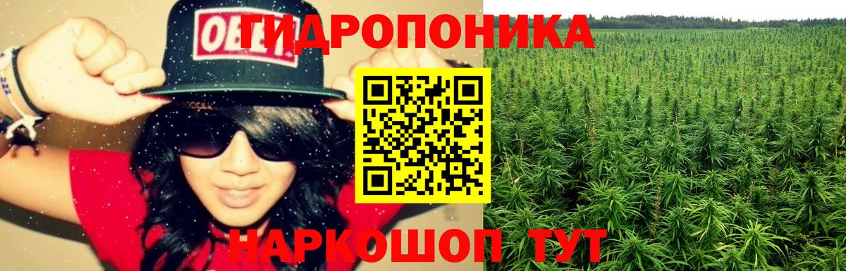 Бошки Шишки White Widow  Вход с VPN  Петровск  Конопля White Widow 